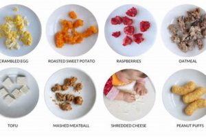 Best Mushy Food for Babies: First Foods Guide Baby Care 101: Essential Tips for Happy, Healthy Babies Best Mushy Food for Babies: First Foods Guide | Baby Care 101: Essential Tips for Happy, Healthy Babies