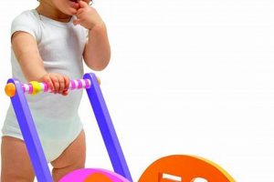 Best Push Toys for Babies: Safe Fun & Development Baby Care 101: Essential Tips for Happy, Healthy Babies Best Push Toys for Babies: Safe Fun & Development | Baby Care 101: Essential Tips for Happy, Healthy Babies