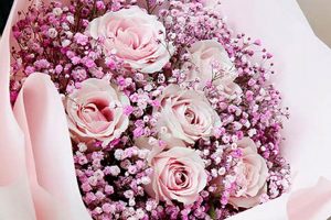 Charming Pink Baby's Breath Flowers: Uses & Care Tips Baby Care 101: Essential Tips for Happy, Healthy Babies Charming Pink Baby's Breath Flowers: Uses & Care Tips | Baby Care 101: Essential Tips for Happy, Healthy Babies