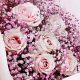 Charming Pink Baby's Breath Flowers: Uses & Care Tips | Baby Care 101: Essential Tips for Happy, Healthy Babies