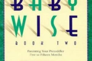 Decoding Babywise: A Smarter Approach to Infant Care? Baby Care 101: Essential Tips for Happy, Healthy Babies Decoding Babywise: A Smarter Approach to Infant Care? | Baby Care 101: Essential Tips for Happy, Healthy Babies
