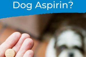 Dog Aspirin Guide: How Much Baby Aspirin Can I Give My Dog Safely? Baby Care 101: Essential Tips for Happy, Healthy Babies Dog Aspirin Guide: How Much Baby Aspirin Can I Give My Dog Safely? | Baby Care 101: Essential Tips for Happy, Healthy Babies