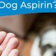 Dog Aspirin Guide: How Much Baby Aspirin Can I Give My Dog Safely? | Baby Care 101: Essential Tips for Happy, Healthy Babies