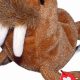 Guide to Walrus Beanie Baby Collectibles & Values | Baby Care 101: Essential Tips for Happy, Healthy Babies
