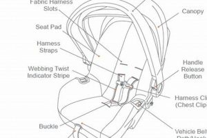Baby Trend Car Seat Manual: Setup & Safety Guide Baby Care 101: Essential Tips for Happy, Healthy Babies Baby Trend Car Seat Manual: Setup & Safety Guide | Baby Care 101: Essential Tips for Happy, Healthy Babies