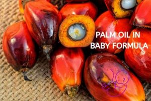 Baby Formula: Is Palm Oil Good, or Bad? Guide Baby Care 101: Essential Tips for Happy, Healthy Babies Baby Formula: Is Palm Oil Good, or Bad? Guide | Baby Care 101: Essential Tips for Happy, Healthy Babies