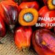 Baby Formula: Is Palm Oil Good, or Bad? Guide | Baby Care 101: Essential Tips for Happy, Healthy Babies
