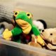 Value Check: How to Tell if a Beanie Baby is Rare or Worthless? | Baby Care 101: Essential Tips for Happy, Healthy Babies