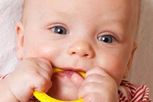 Help! Teething Baby Won't Eat From Bottle: Solutions Baby Care 101: Essential Tips for Happy, Healthy Babies Help! Teething Baby Won't Eat From Bottle: Solutions | Baby Care 101: Essential Tips for Happy, Healthy Babies