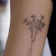 Beyond Innocence: Baby's Breath Flower Tattoo Designs | Baby Care 101: Essential Tips for Happy, Healthy Babies