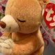 Guide to Beanie Baby Hope Value: Investing in Plush Toys | Baby Care 101: Essential Tips for Happy, Healthy Babies