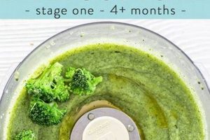 Best Baby Food Broccoli: Recipes & Benefits Guide Baby Care 101: Essential Tips for Happy, Healthy Babies Best Baby Food Broccoli: Recipes & Benefits Guide | Baby Care 101: Essential Tips for Happy, Healthy Babies