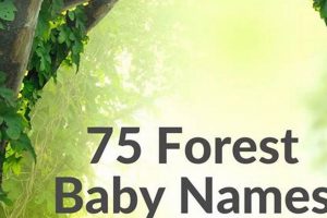 Unique Forest Baby Names: Nature-Inspired & Rare Baby Care 101: Essential Tips for Happy, Healthy Babies Unique Forest Baby Names: Nature-Inspired & Rare | Baby Care 101: Essential Tips for Happy, Healthy Babies