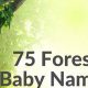 Unique Forest Baby Names: Nature-Inspired & Rare | Baby Care 101: Essential Tips for Happy, Healthy Babies