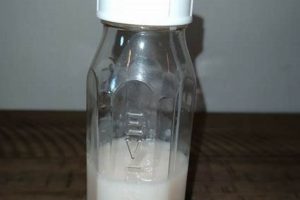 Bottle Life: What to Do with Old Baby Bottles? Recycle & More! Baby Care 101: Essential Tips for Happy, Healthy Babies Bottle Life: What to Do with Old Baby Bottles? Recycle & More! | Baby Care 101: Essential Tips for Happy, Healthy Babies