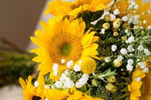 Beyond Bouquets: Baby's Breath & Sunflowers Decor Baby Care 101: Essential Tips for Happy, Healthy Babies Beyond Bouquets: Baby's Breath & Sunflowers Decor | Baby Care 101: Essential Tips for Happy, Healthy Babies