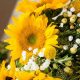 Beyond Bouquets: Baby's Breath & Sunflowers Decor | Baby Care 101: Essential Tips for Happy, Healthy Babies