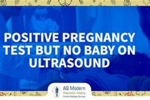 What If? Positive Pregnancy Test But No Baby on Ultrasound? Baby Care 101: Essential Tips for Happy, Healthy Babies What If? Positive Pregnancy Test But No Baby on Ultrasound? | Baby Care 101: Essential Tips for Happy, Healthy Babies