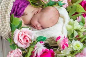 Tiny Treasures: Baby Flowers for Sweet Moments Baby Care 101: Essential Tips for Happy, Healthy Babies Tiny Treasures: Baby Flowers for Sweet Moments | Baby Care 101: Essential Tips for Happy, Healthy Babies