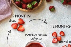 BLW Strawberries: A Guide to Baby Led Weaning Success Baby Care 101: Essential Tips for Happy, Healthy Babies BLW Strawberries: A Guide to Baby Led Weaning Success | Baby Care 101: Essential Tips for Happy, Healthy Babies