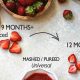 BLW Strawberries: A Guide to Baby Led Weaning Success | Baby Care 101: Essential Tips for Happy, Healthy Babies