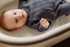 Help! My Baby Won't Sleep in Bassinet at Night: Tips Baby Care 101: Essential Tips for Happy, Healthy Babies Help! My Baby Won't Sleep in Bassinet at Night: Tips | Baby Care 101: Essential Tips for Happy, Healthy Babies