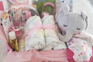 Delightful Newborn Baby Girl Gift Basket Ideas! Baby Care 101: Essential Tips for Happy, Healthy Babies Delightful Newborn Baby Girl Gift Basket Ideas! | Baby Care 101: Essential Tips for Happy, Healthy Babies