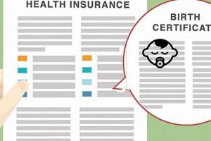 Babies & Insurance: How to Add Baby to Health Plan Fast Baby Care 101: Essential Tips for Happy, Healthy Babies Babies & Insurance: How to Add Baby to Health Plan Fast | Baby Care 101: Essential Tips for Happy, Healthy Babies