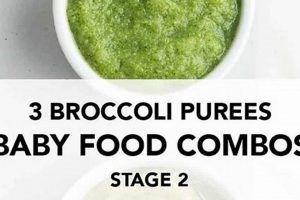 Easy Broccoli Puree Baby Food: Recipes & Tips! Baby Care 101: Essential Tips for Happy, Healthy Babies Easy Broccoli Puree Baby Food: Recipes & Tips! | Baby Care 101: Essential Tips for Happy, Healthy Babies