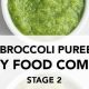 Easy Broccoli Puree Baby Food: Recipes & Tips! | Baby Care 101: Essential Tips for Happy, Healthy Babies