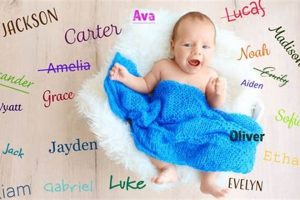 Naming Matters: What Happens If You Don't Name Your Baby? Guide Baby Care 101: Essential Tips for Happy, Healthy Babies Naming Matters: What Happens If You Don't Name Your Baby? Guide | Baby Care 101: Essential Tips for Happy, Healthy Babies