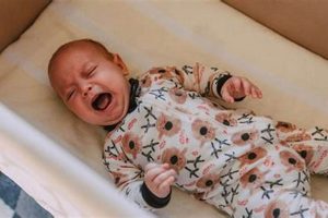 Baby Help: Why *Is* My Baby Wake Up Screaming From Naps?! Tips Baby Care 101: Essential Tips for Happy, Healthy Babies Baby Help: Why *Is* My Baby Wake Up Screaming From Naps?! Tips | Baby Care 101: Essential Tips for Happy, Healthy Babies