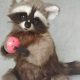 Best Racoon Baby Toy: Soft Cuddle Pal For Your Baby! | Baby Care 101: Essential Tips for Happy, Healthy Babies