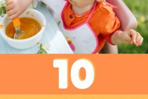 Easy Sweet Potato Baby Food Recipe Combinations for Your Little One! Baby Care 101: Essential Tips for Happy, Healthy Babies Easy Sweet Potato Baby Food Recipe Combinations for Your Little One! | Baby Care 101: Essential Tips for Happy, Healthy Babies