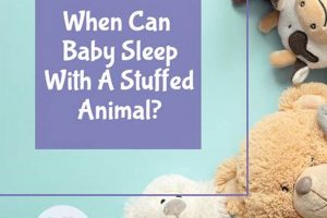 Baby Sleep: When Can Baby Sleep with Stuffed Animal Safely? Baby Care 101: Essential Tips for Happy, Healthy Babies Baby Sleep: When Can Baby Sleep with Stuffed Animal Safely? | Baby Care 101: Essential Tips for Happy, Healthy Babies