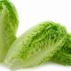Is Baby Romaine Safe? Health, Recipes & More! | Baby Care 101: Essential Tips for Happy, Healthy Babies