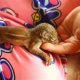 Baby Squirrel Care: How to Help Orphaned Squirrels Thrive | Baby Care 101: Essential Tips for Happy, Healthy Babies
