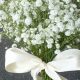 Buy Baby's Breath Bouquet: Ideas &amp; Care Tips | Baby Care 101: Essential Tips for Happy, Healthy Babies
