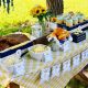 BBQ Baby Shower Bash: Grill & Grow Event! | Baby Care 101: Essential Tips for Happy, Healthy Babies