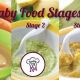 Best Baby Food Stage 2: Recipes &amp; Guide [2024] | Baby Care 101: Essential Tips for Happy, Healthy Babies