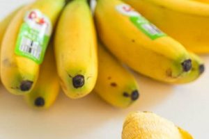 Tiny Treats: Sweet & Easy Baby Bananas! Baby Care 101: Essential Tips for Happy, Healthy Babies Tiny Treats: Sweet & Easy Baby Bananas! | Baby Care 101: Essential Tips for Happy, Healthy Babies