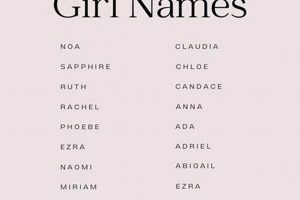 Biblical Charm: Cute Bible Names for Baby Girl + Meanings Baby Care 101: Essential Tips for Happy, Healthy Babies Biblical Charm: Cute Bible Names for Baby Girl + Meanings | Baby Care 101: Essential Tips for Happy, Healthy Babies