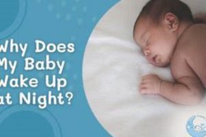 Baby Sleep: Why Does My Baby *Only* Want to Sleep on Me? Baby Care 101: Essential Tips for Happy, Healthy Babies Baby Sleep: Why Does My Baby *Only* Want to Sleep on Me? | Baby Care 101: Essential Tips for Happy, Healthy Babies