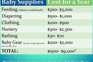 Decoding Average Baby Shower Cost + Budget Tips Baby Care 101: Essential Tips for Happy, Healthy Babies Decoding Average Baby Shower Cost + Budget Tips | Baby Care 101: Essential Tips for Happy, Healthy Babies