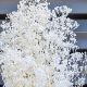 Timeless Beauty: Preserved Baby's Breath Decor Ideas | Baby Care 101: Essential Tips for Happy, Healthy Babies
