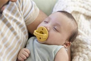 Top-Rated Best Pacifiers for Babies Comfort & Soothe Baby Care 101: Essential Tips for Happy, Healthy Babies Top-Rated Best Pacifiers for Babies Comfort & Soothe | Baby Care 101: Essential Tips for Happy, Healthy Babies
