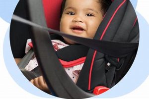 Rent a Baby Car Seat: Travel Safe & Easy! Baby Care 101: Essential Tips for Happy, Healthy Babies Rent a Baby Car Seat: Travel Safe & Easy! | Baby Care 101: Essential Tips for Happy, Healthy Babies
