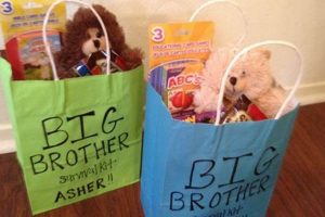 Best Gifts for Big Brother When Baby is Born: Ideas & More Baby Care 101: Essential Tips for Happy, Healthy Babies Best Gifts for Big Brother When Baby is Born: Ideas & More | Baby Care 101: Essential Tips for Happy, Healthy Babies