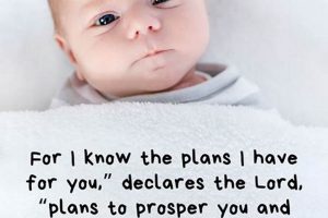 Blessings: Bible Verses for Baby Boy Inspiration & More Baby Care 101: Essential Tips for Happy, Healthy Babies Blessings: Bible Verses for Baby Boy Inspiration & More | Baby Care 101: Essential Tips for Happy, Healthy Babies