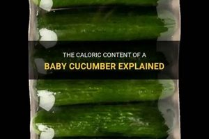 Tiny Calories: Baby Cucumber Calories & Benefits Baby Care 101: Essential Tips for Happy, Healthy Babies Tiny Calories: Baby Cucumber Calories & Benefits | Baby Care 101: Essential Tips for Happy, Healthy Babies